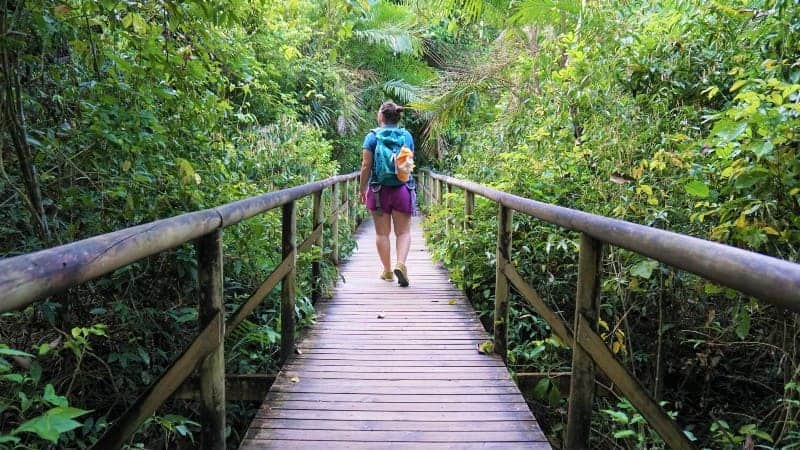 A woman with a blue backpack and purple shorts walking through the rainforest of Manuel Antonio National Park.