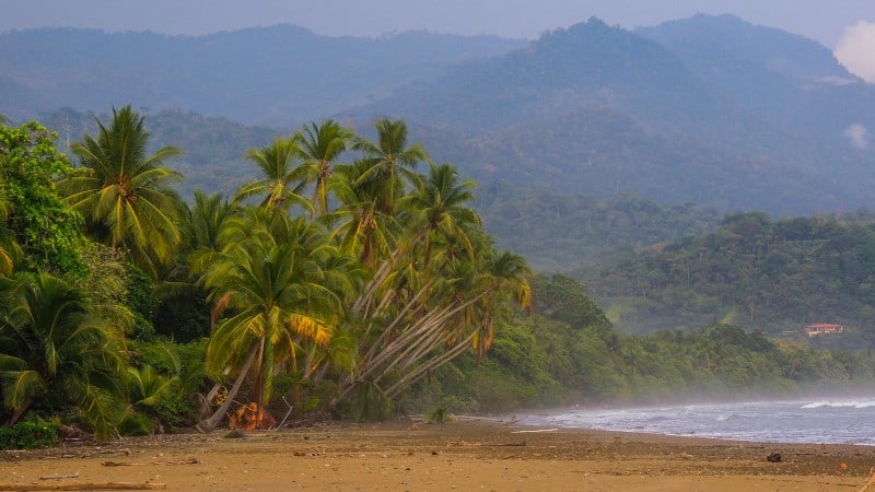 Green palm trees on a golden sand beach with lush mountains in the background in Costa Rica.