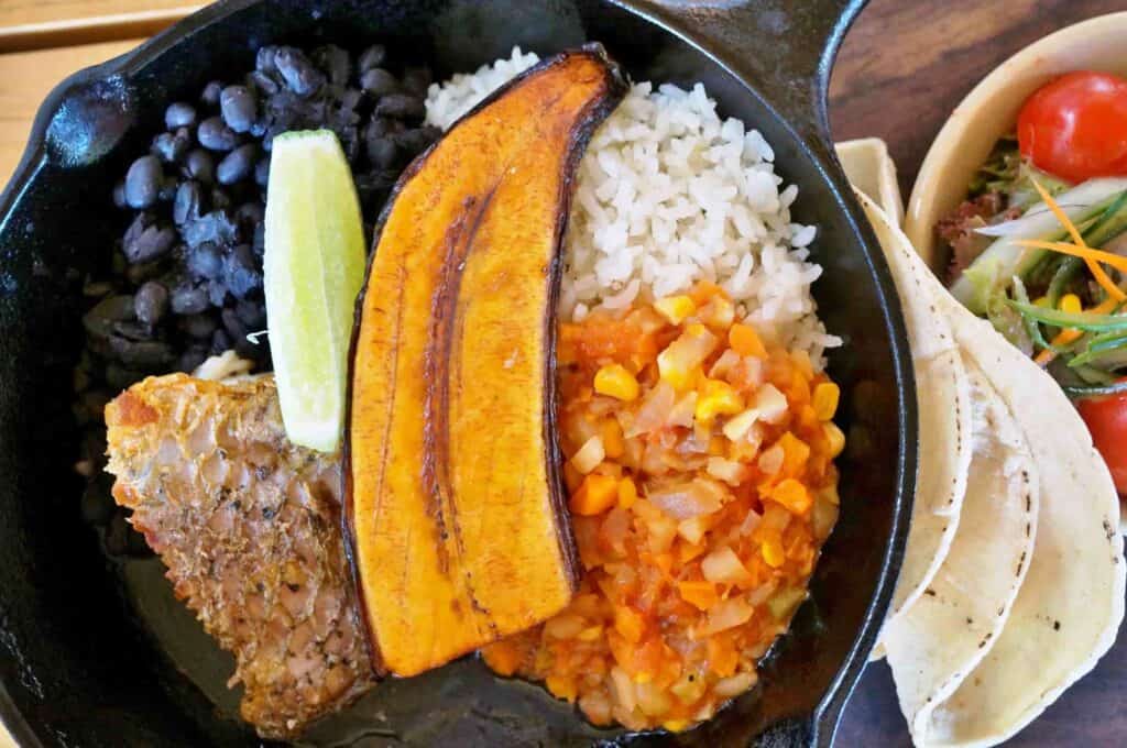 A traditional Costa Rican meal, featuring tortillas, rice, beans, fish, and vegetables.
