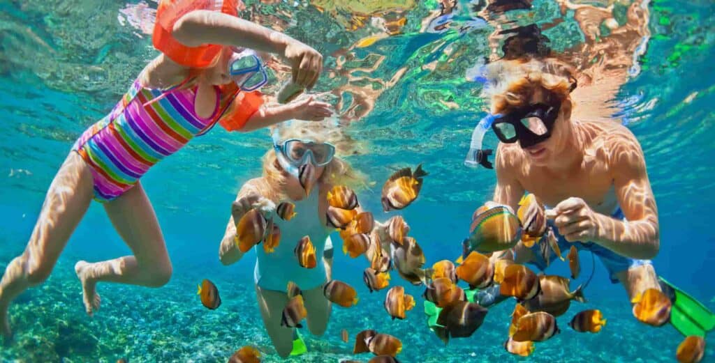 A family of three wearing snorkeling gear and looking at a school of tropical fish underwater in the Bahamas.