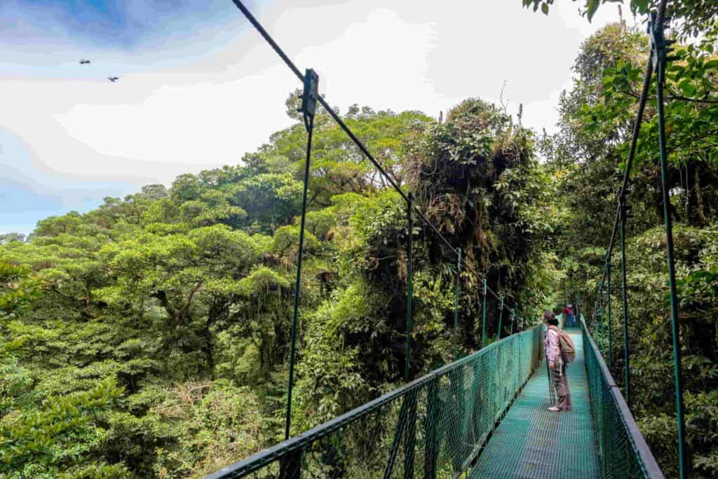 A person walking across a green hanging bridge in the rainforest in Costa Rica.