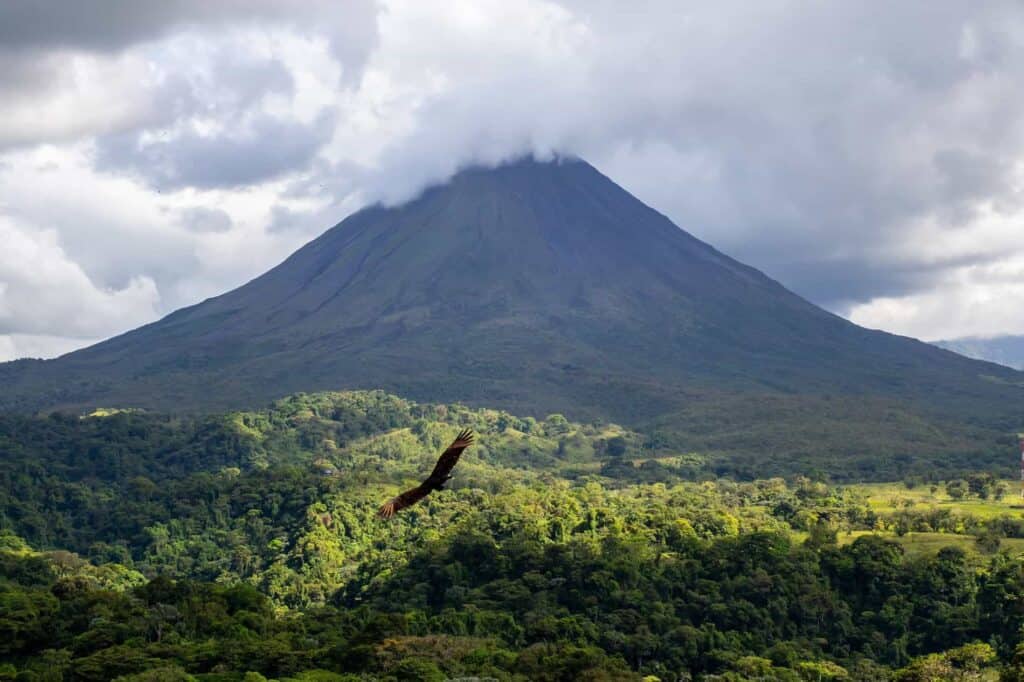 A volcano covered with clouds and surrounded by lush greenery, with an eagle flying in front of the volcano.