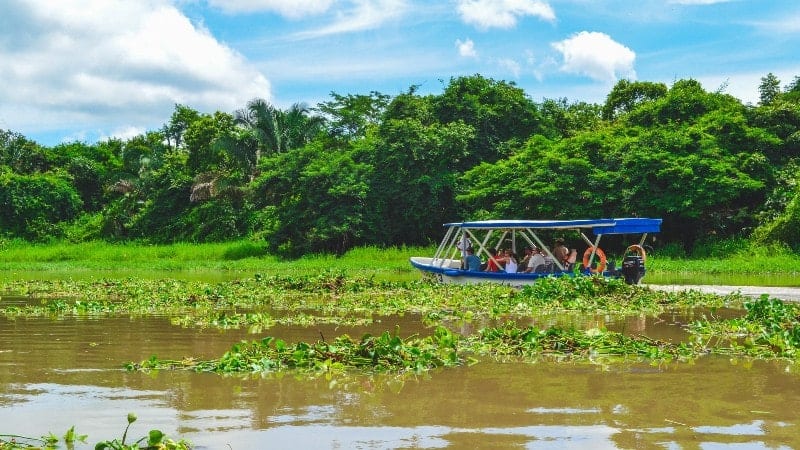 People on a boat in the Tempisque River with trees in the background at the Palo Verde National Park in Guancaste, Costa Rica