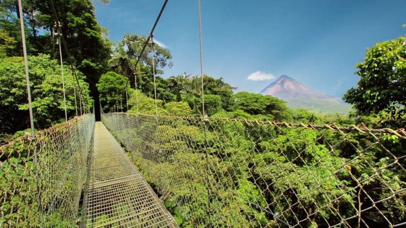 a hanging bridge between over a rainforest with a volcano in the background in Costa Rica