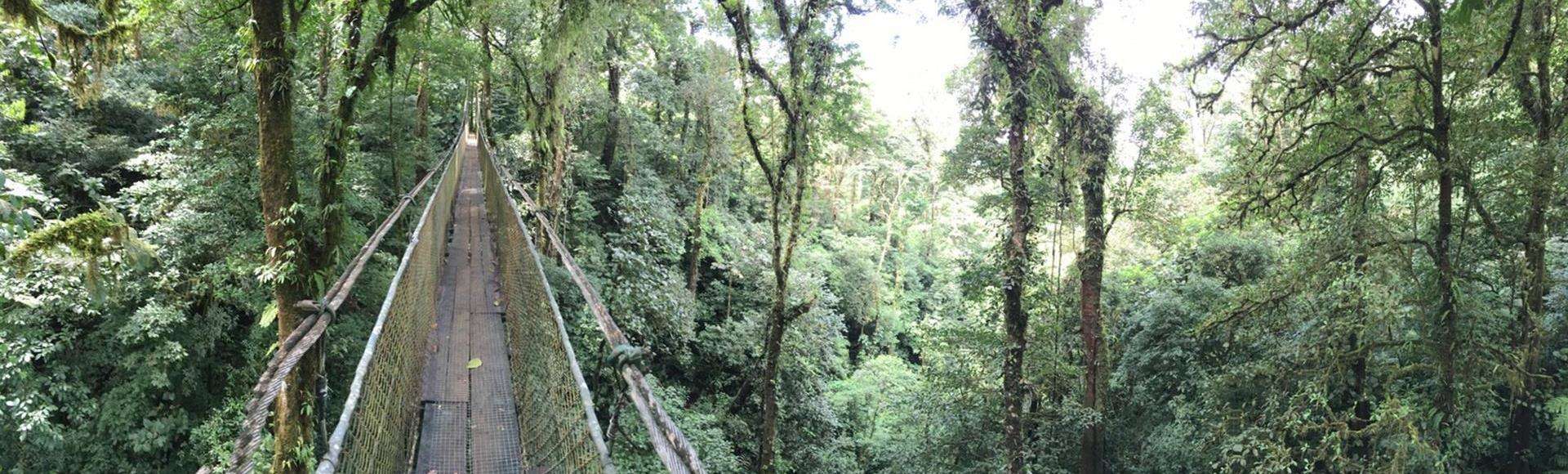 rainforest tours in costa rica