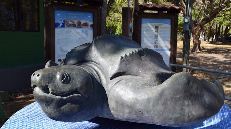 A statue of a sea turtle in Las Baulas National Park.