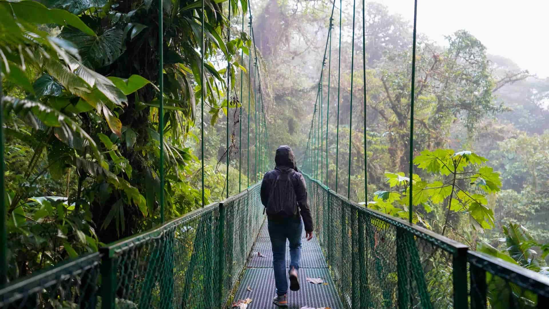 Hiker on hanging bridge in Costa Rica