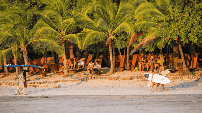 Surfers walking along the beach in front of palm trees in Costa Rica.