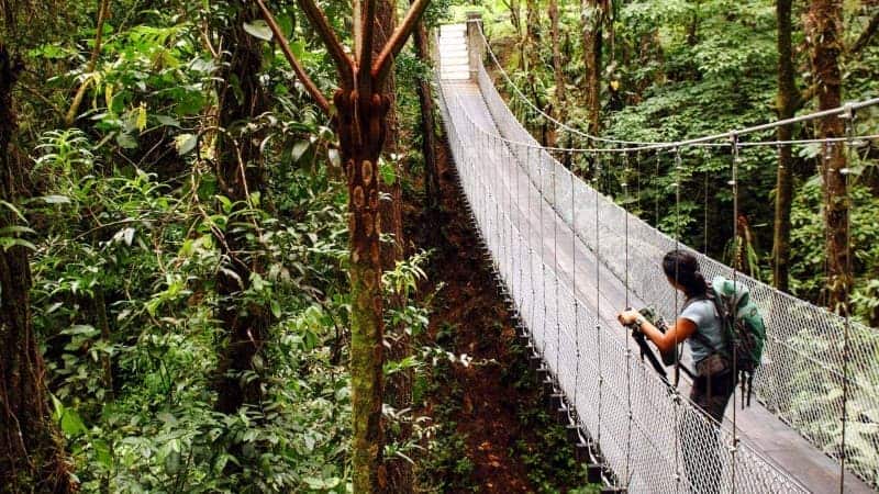 A woman walking across a hanging bridge in Costa Rica.