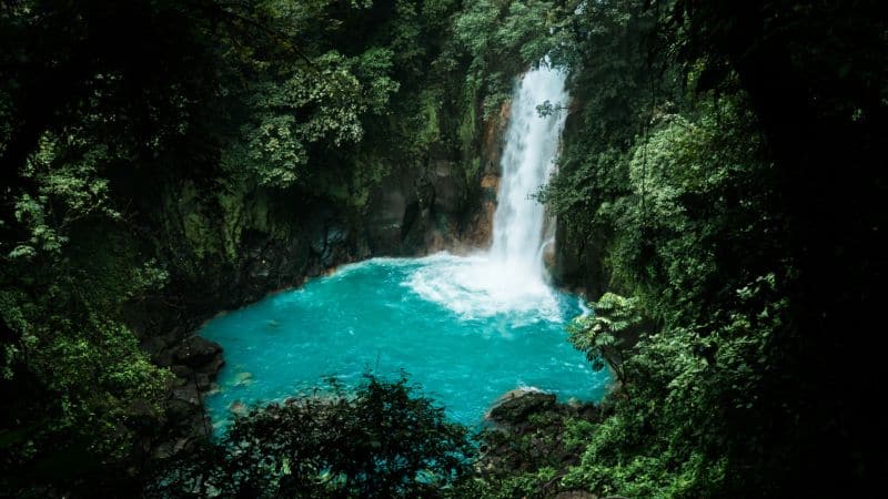 waterfall surrounded by trees in Costa Rica