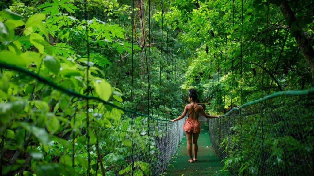 A woman on a hanging bridge in the middle of a rainforest.