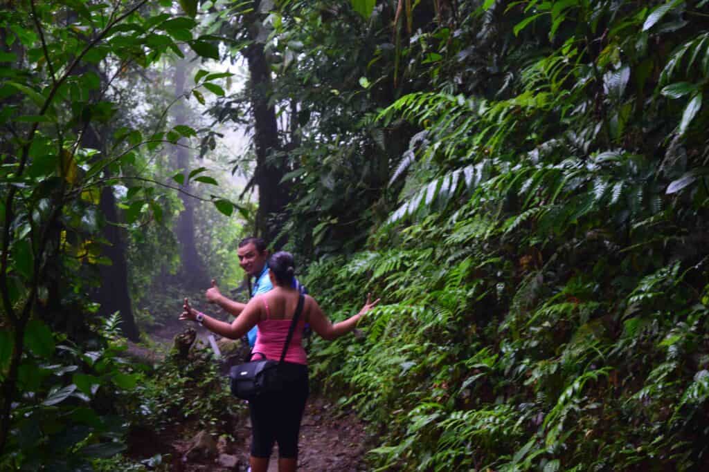 a man and a woman walking through a rainforest