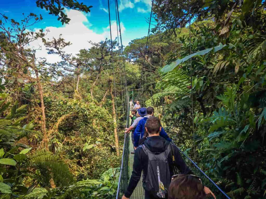 A group of people walking along a hanging bridge in the rainforest in Costa Rica.