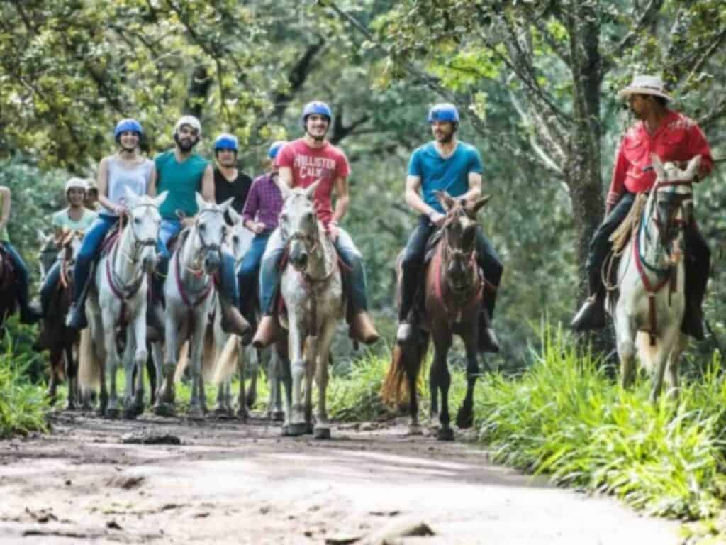 a group of people riding on horses through trees in Costa Rica
