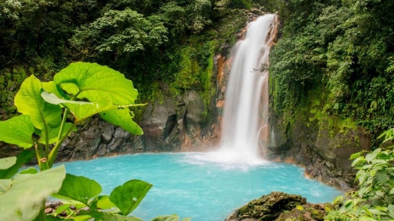 High angle view of Rio Celeste Waterfall in forest. A blue waterfall in Tenorio National Park.