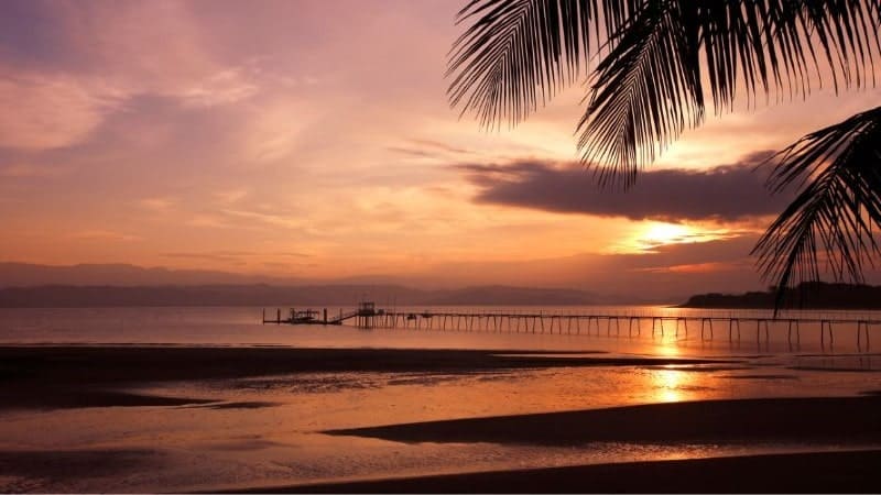 A beautiful sunset over the water with palm trees and a pier in the Osa Peninsula in Costa Rica.