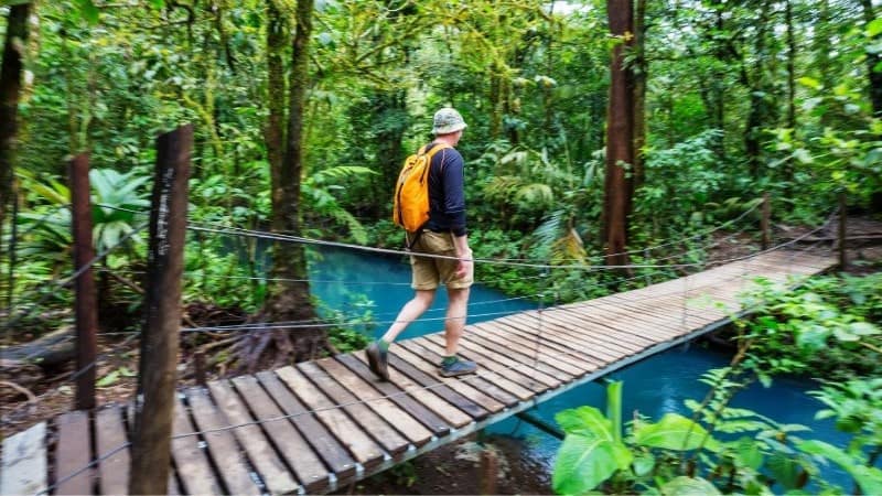 A man crossing a suspension bridge in the jungle in Costa Rica, surrounded by lush greenery and towering trees.
