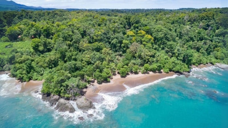 Aerial panorama image of the beaches and forests at Corcovado National Park.