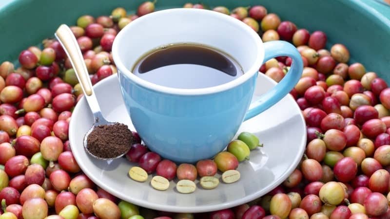A blue coffee cup with black coffee on a saucer with a spoonful of ground coffee, set against a background of colorful coffee cherries.