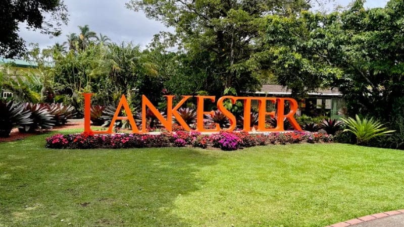 An orange sign that says "LANKESTER" with pink flowers underneath it.