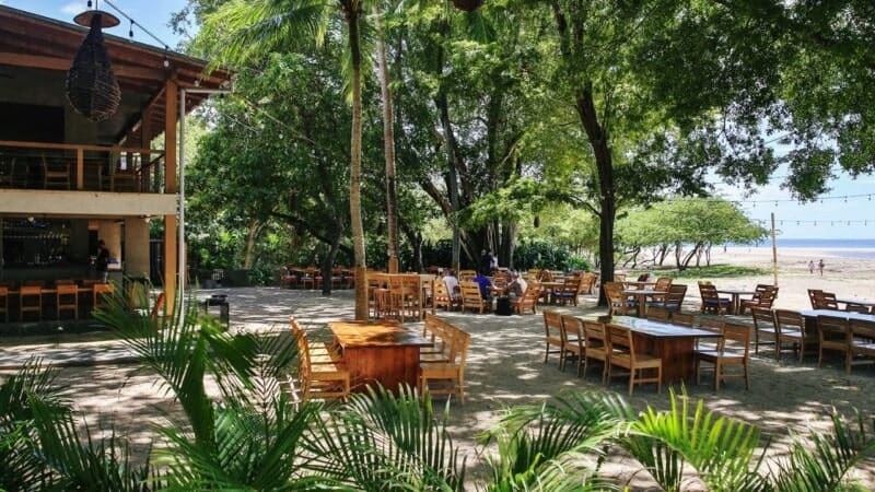 A serene outdoor dining area at Pangas Beach Club, with rustic wooden tables and chairs set among lush tropical greenery. The setting offers a relaxed atmosphere, shaded by tall trees, with a glimpse of a sandy beach and the ocean in the background. 