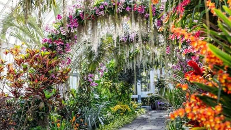 A walkway with a canopy of a variety of colorful flowers.