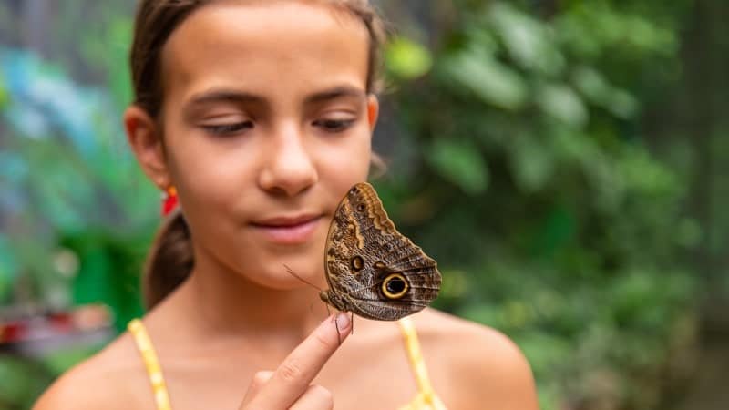 A young girl with a serene expression gazes at a large brown butterfly resting on her finger, with its wings displaying eye-like patterns. The background is softly blurred, highlighting the butterfly and the interaction in a lush garden setting.