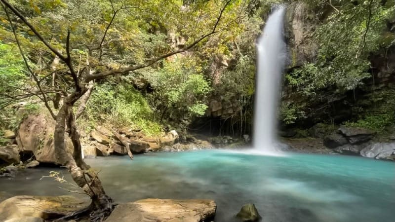 A serene view of La Cangreja Waterfall, with its clear water cascading into a tranquil turquoise pool surrounded by rocks and lush vegetation, and a slender tree in the foreground.