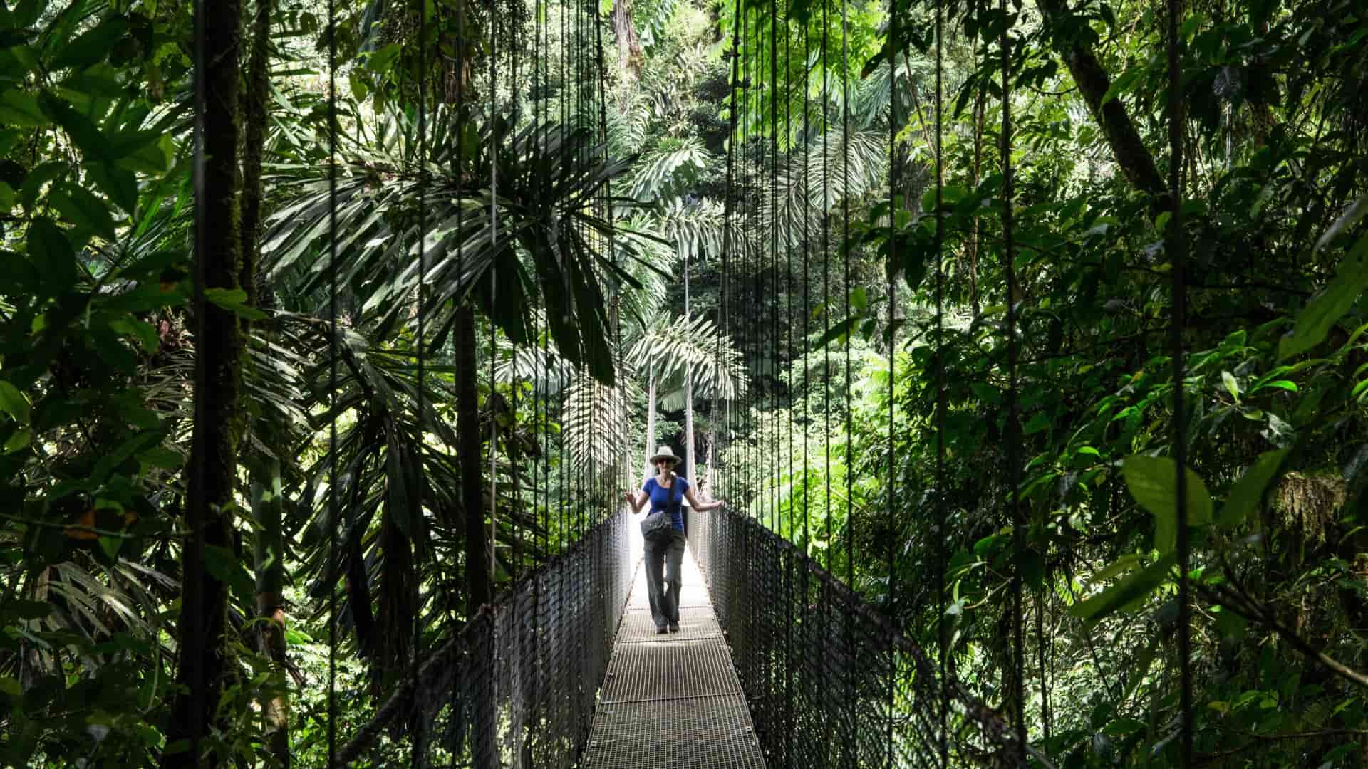 A person is walking on a suspension bridge surrounded by lush, dense tropical rainforest vegetation. The bridge is elevated, providing a breathtaking view of the verdant greenery. The person is wearing a hat and casual outdoor clothing, suggesting they are on a hike or an adventure tour. The scene captures the beauty and immersion of being in the heart of a rainforest, with sunlight filtering through the canopy above.