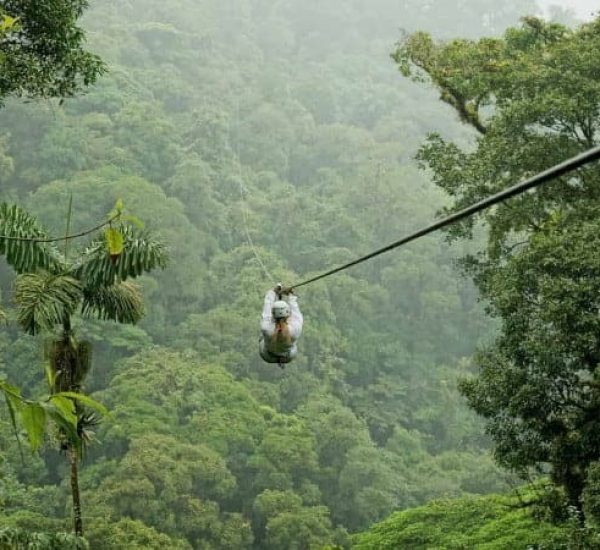 ziplining-in-the-rainforest